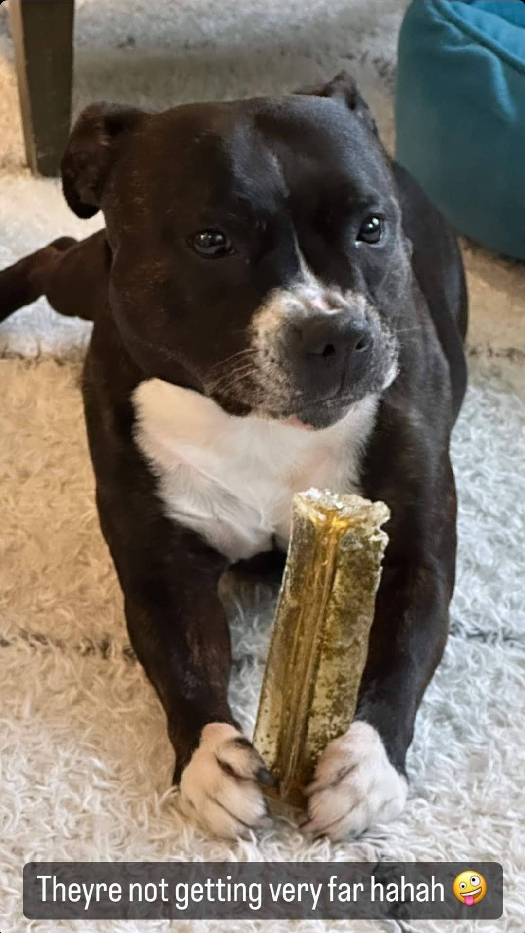 Wag & Bright Supply Co. – Engroshandel Tyggeben - Hund – Mighty Marrows Collagen Tandtyg - Bacon - 3 Størrelser19