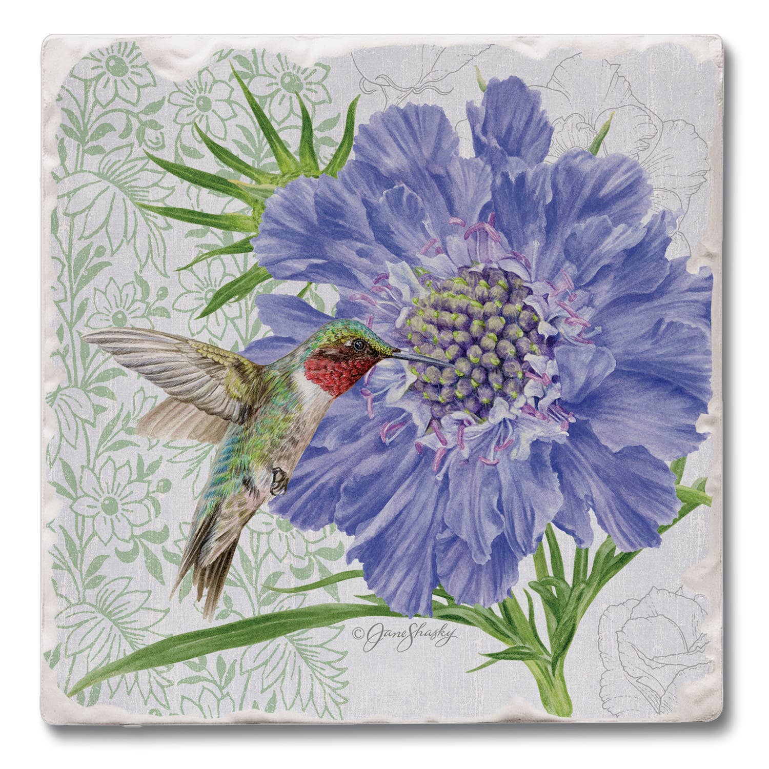 CounterArt/Highland Home/Thirstystone - Venta al por mayor Expositor - Hogar - Expositor de posavasos individual preempaquetado de Fresh Botanicals7