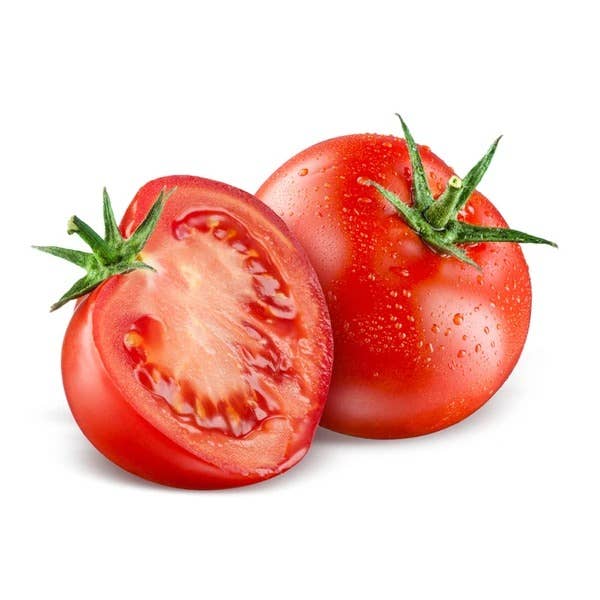 Bentley Seed Co. - Wholesale Plant Seeds - Tomato-Ace 552
