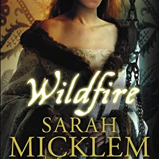 Boon Books - Wholesale Fantasy - Wildfire by Sarah Micklem