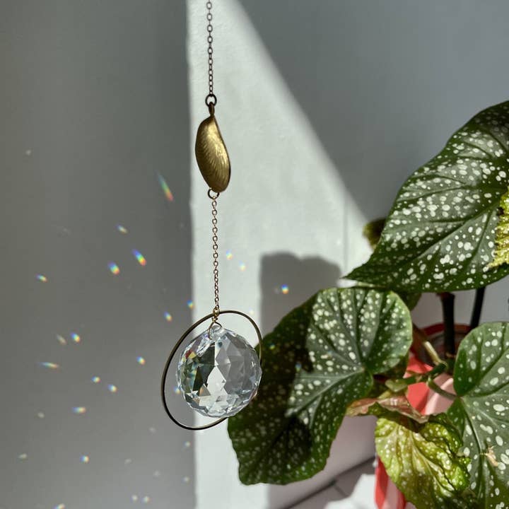 Suncatcher con ciondolo a conchiglia, prisma di cristallo per finestra per la vendita all'ingrosso da parte di von Lani = Jewellry + Suncatchers