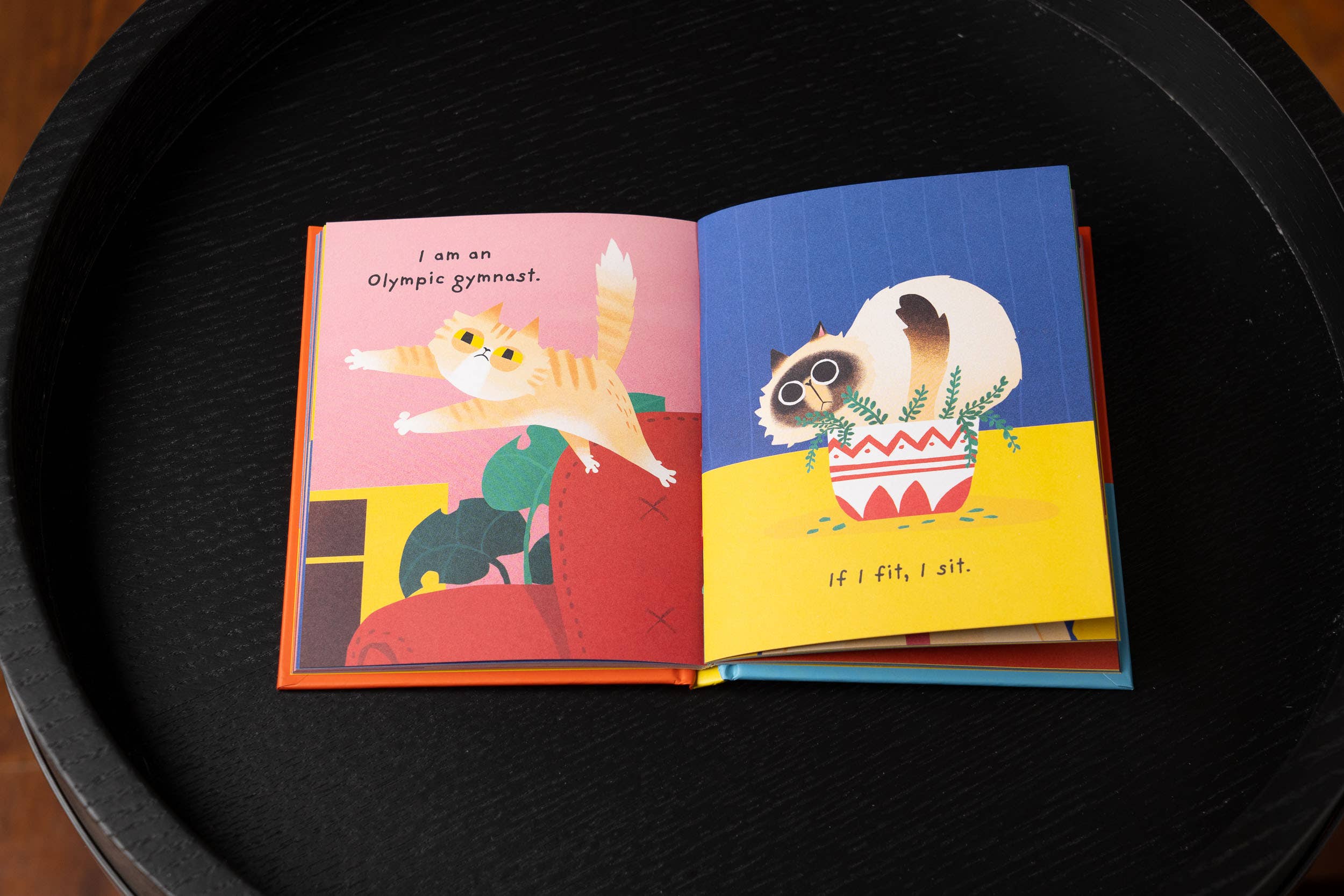 HarperCollins Focus - Wholesale Pets - The Book of Catitudes: Dubious Wit & Wisdom from Cats3