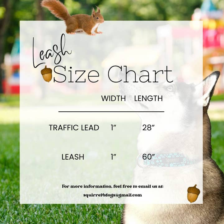 Squirrel! – wholesale Pet leash – Dog – Woody Leash1