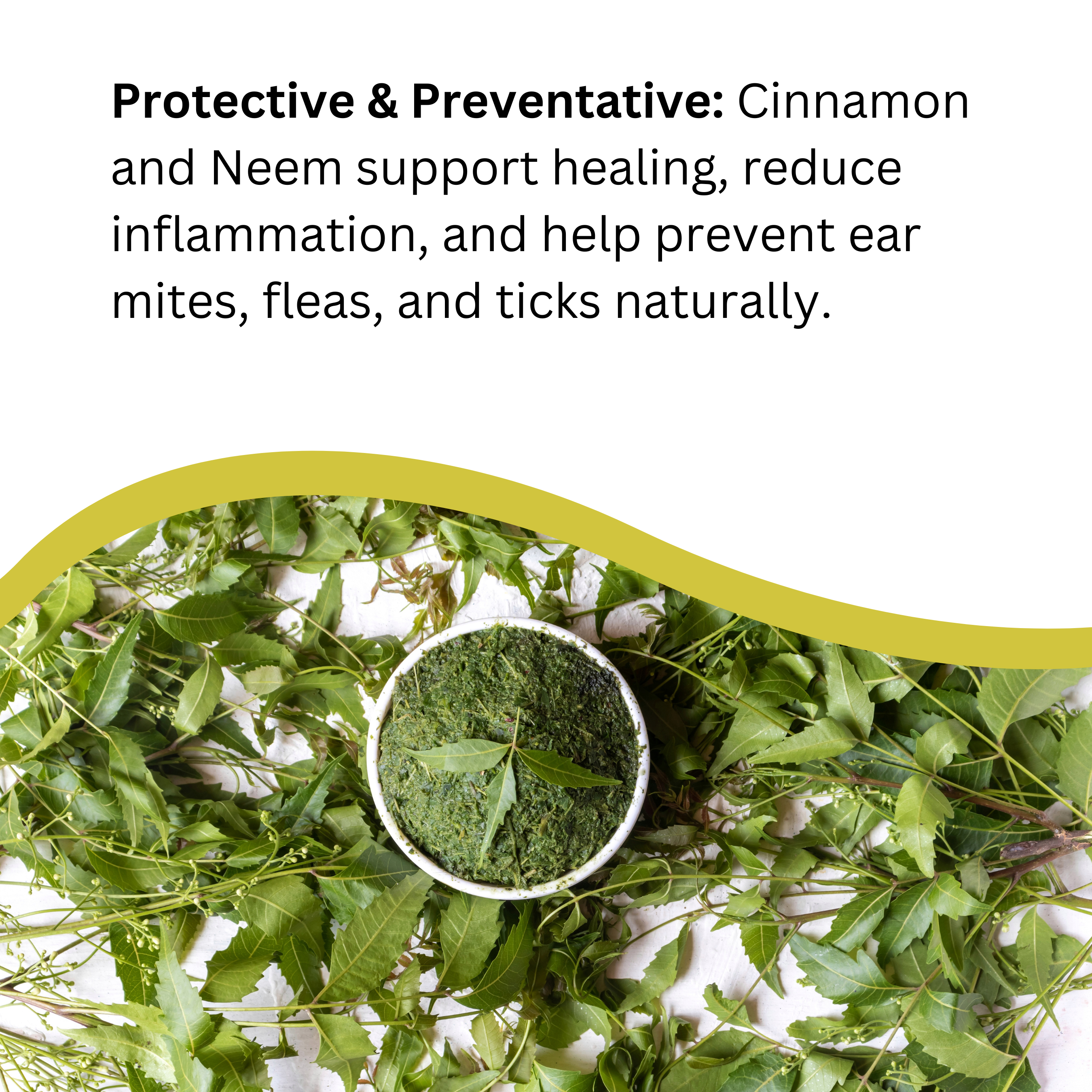 Natures Greatest Secret – wholesale Pet supplement – Dog – Cleansing Colloidal Silver PetCare Ear Drops for Dogs 30ml4