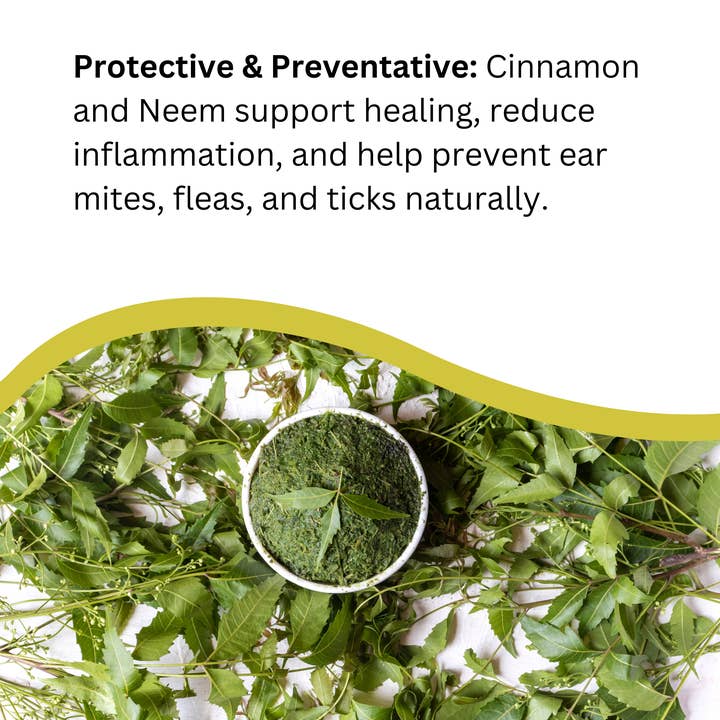 Natures Greatest Secret – wholesale Pet supplement – Dog – Cleansing Colloidal Silver PetCare Ear Drops for Dogs 30ml4