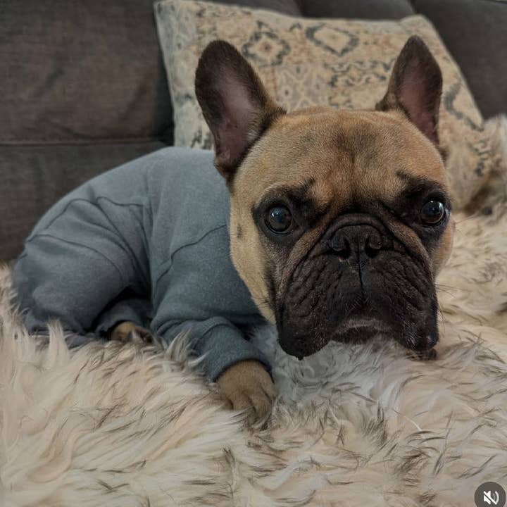 Gumdrop Onesie - Grey for wholesale by PEBOT