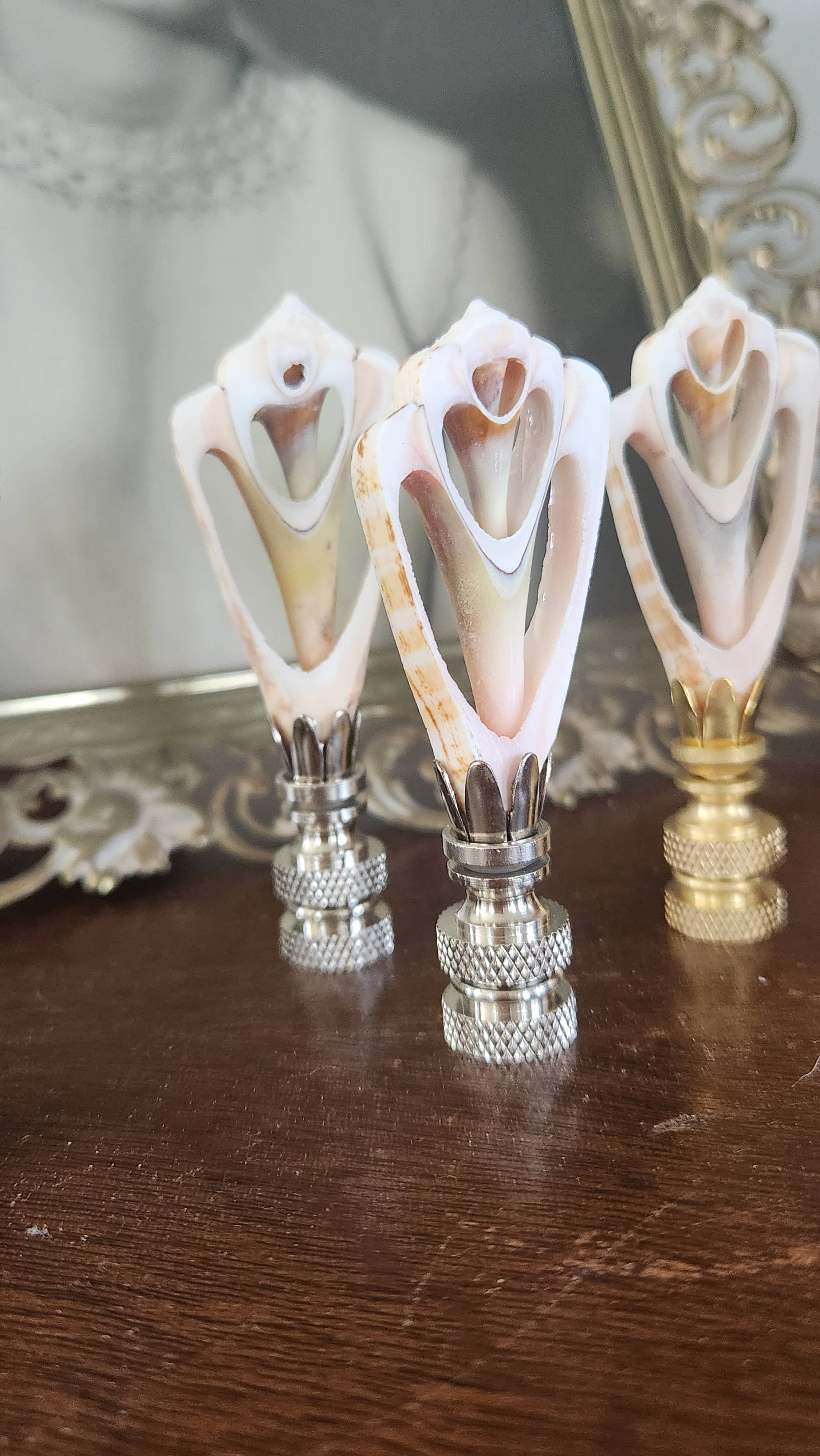 White Tulip Boutique - Wholesale Decorative Tabletop Object - Petite, Sliced Seashell Lamp Finial, Pair7