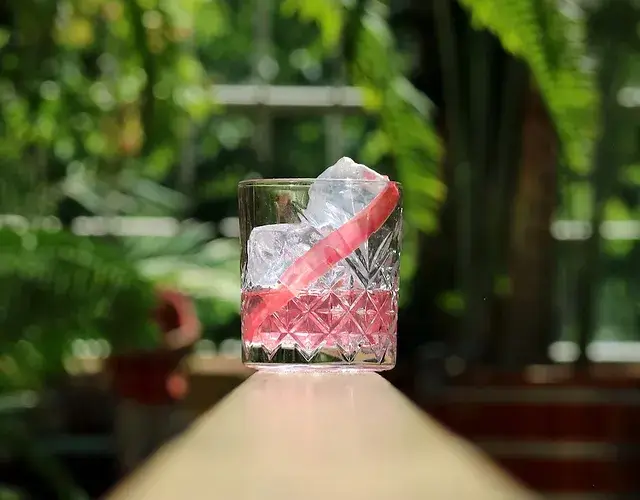 Willem's Wermoed - Wholesale Vermouth/Aperitif - Willem's Wermoed Pink - Vermouth Botanical Aperitif1