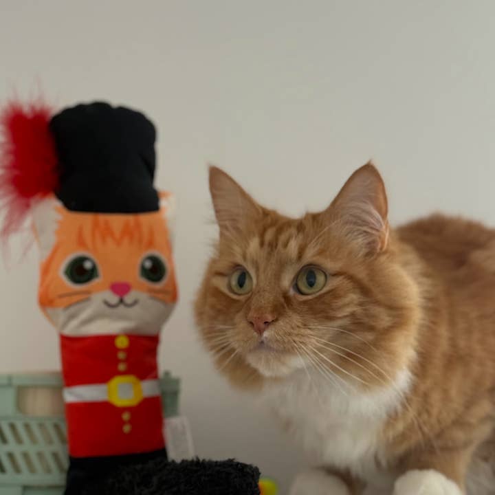 PetLondon - Wholesale Pet Toy - Cat - British Cat Guard Kicker Toy8