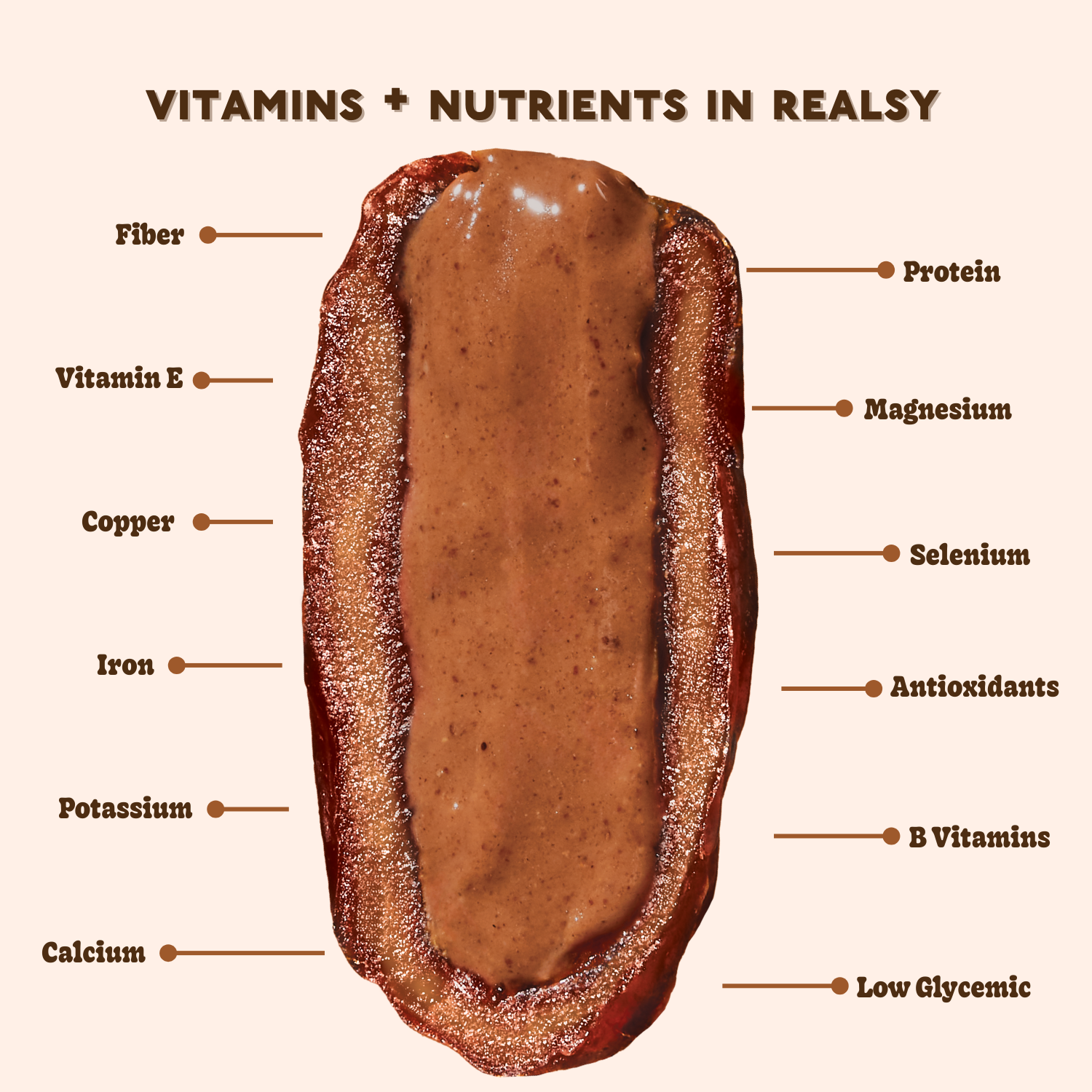 realsy - Wholesale Nuts - Chocolate Peanut Butter-Filled Medjool Dates - 10 unit/case6