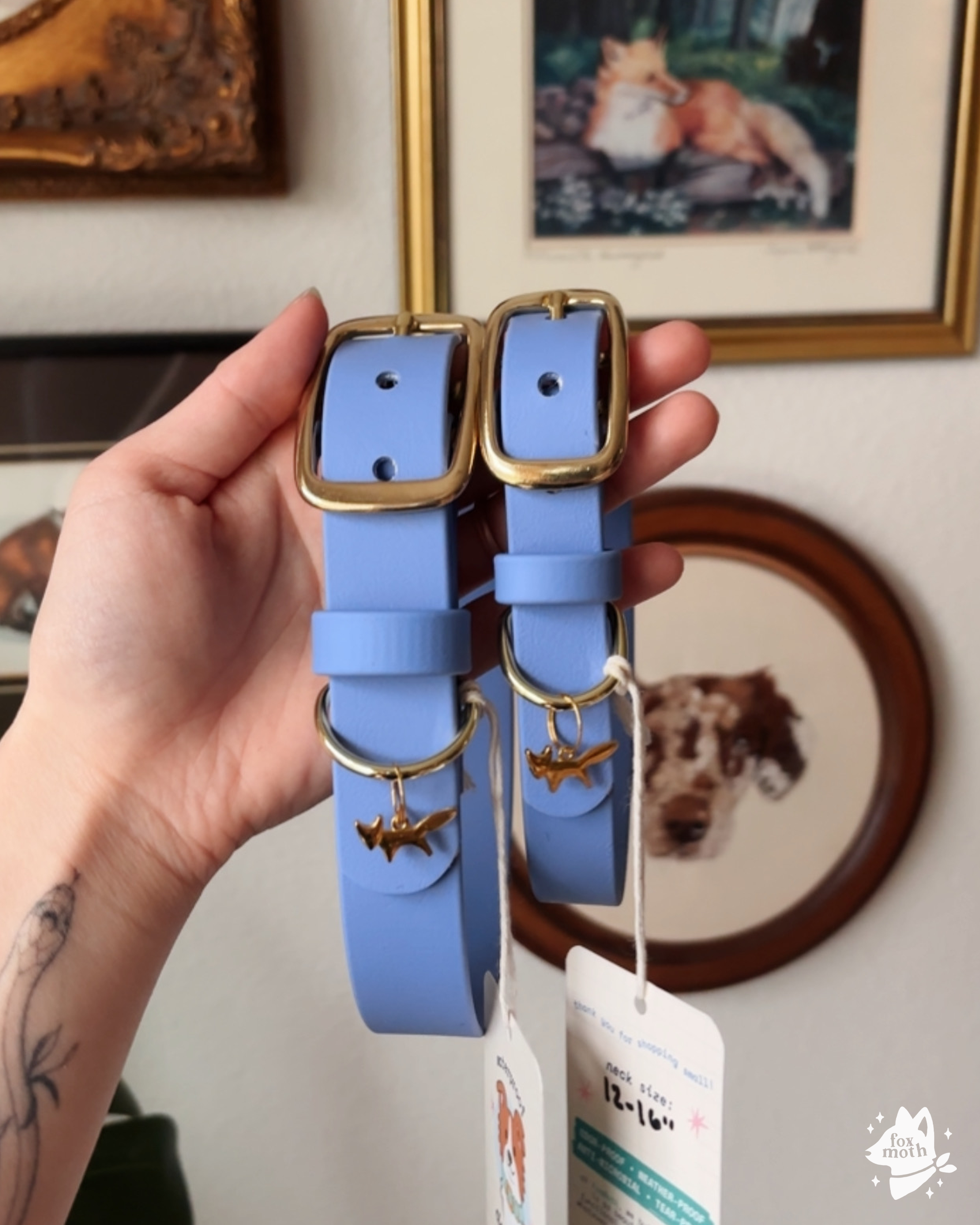 FoxMoth - Wholesale Pet Collar - Dog - Modern Waterproof Biothane Dog Collar [All 17+ Colors]15