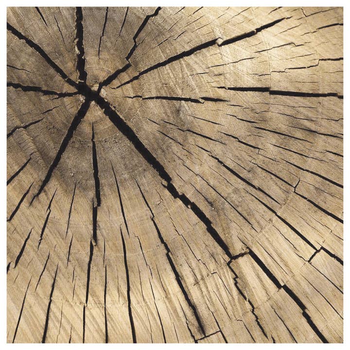 Timber Charger - (SQUARE) for wholesale by Altoonastore