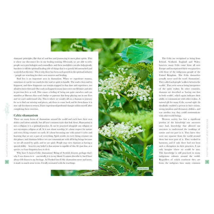 ROCKPOOL PUBLISHING - Wholesale Book - Adult - Plant Spirit Medicine (Hardcover)
