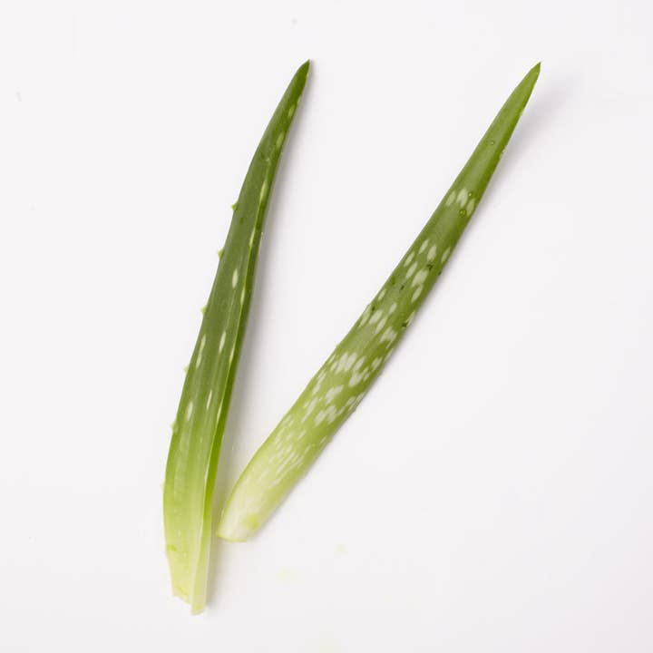 SkinfoodNZ - Wholesale Hand cream/lotion - Nourishing Hand Cream4