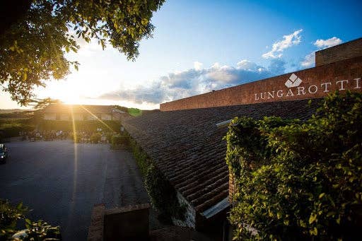 Italian Within - Wholesale Olive Oil - Cantico Extra Virgin Olive Oil 'The expression of Umbria' Organic Biologico2