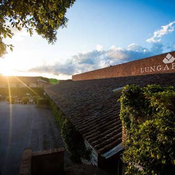 Italian Within - Wholesale Olive Oil - Cantico Extra Virgin Olive Oil 'The expression of Umbria' Organic Biologico2