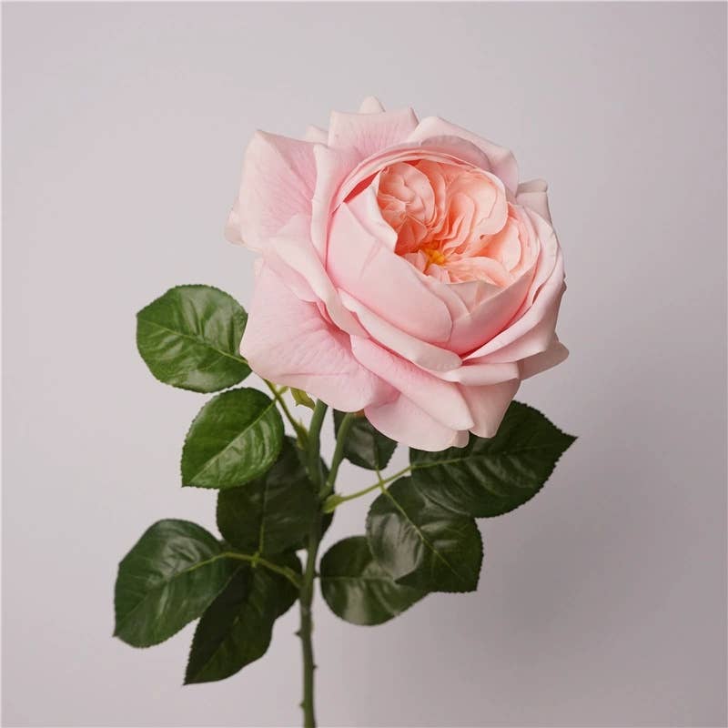Angel Isabella - Wholesale Artificial flowers - 27"-Lux Faux Juliet Rose-Moisturizing Finish-5"Bloom5