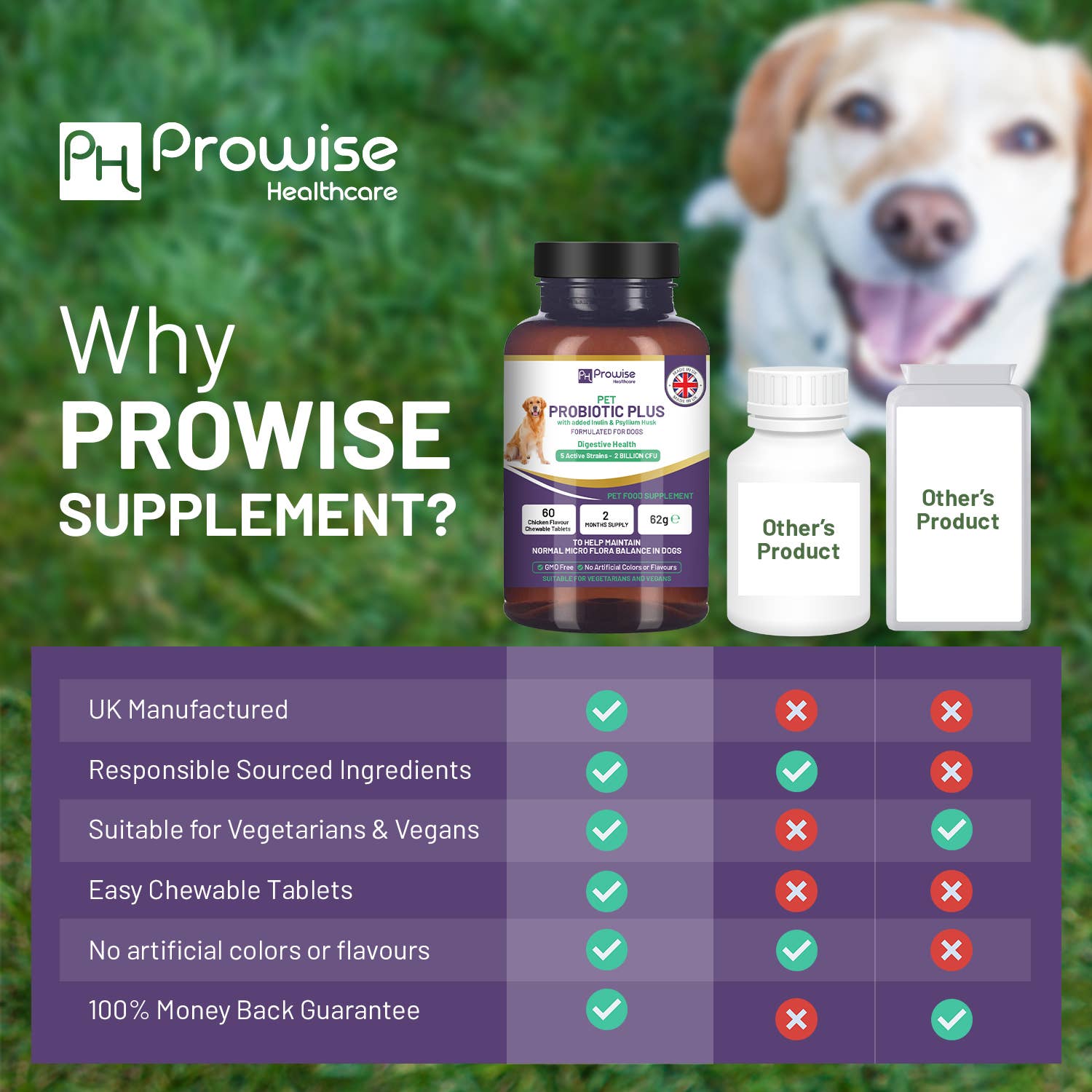 Prowise Healthcare - Wholesale Pet Supplement - Cat/Dog - Pet Probiotic Plus with Added Inulin & Psyllium Husk 2 Billi6