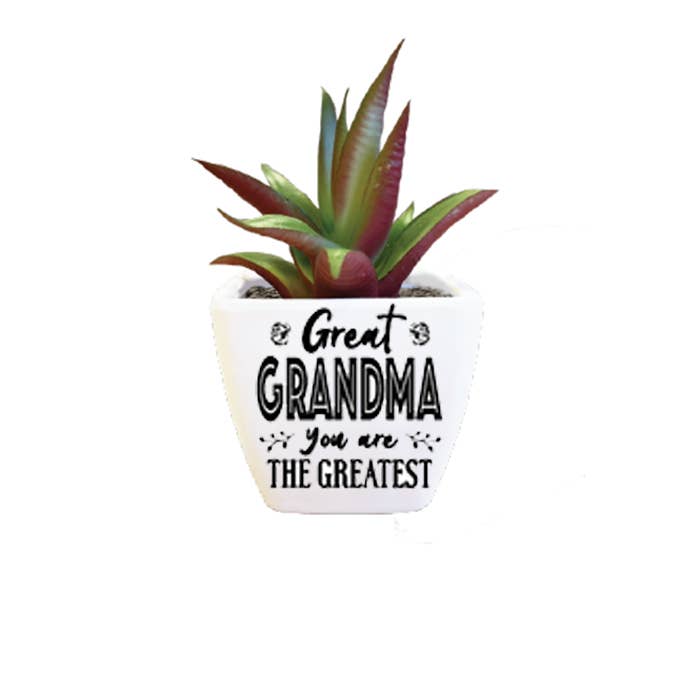 Sentiment Succulent - Great Grandma for wholesale by The H&H Group