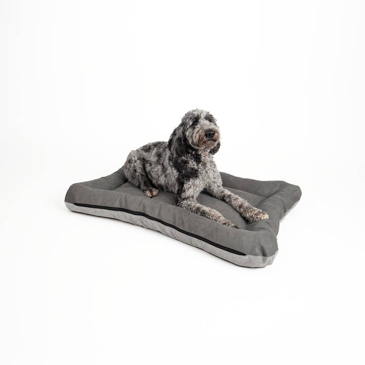 Snoozer Pet Products - Vendita all'ingrosso Letto - Cani - Cuccia per Cani All Day di Snoozer1