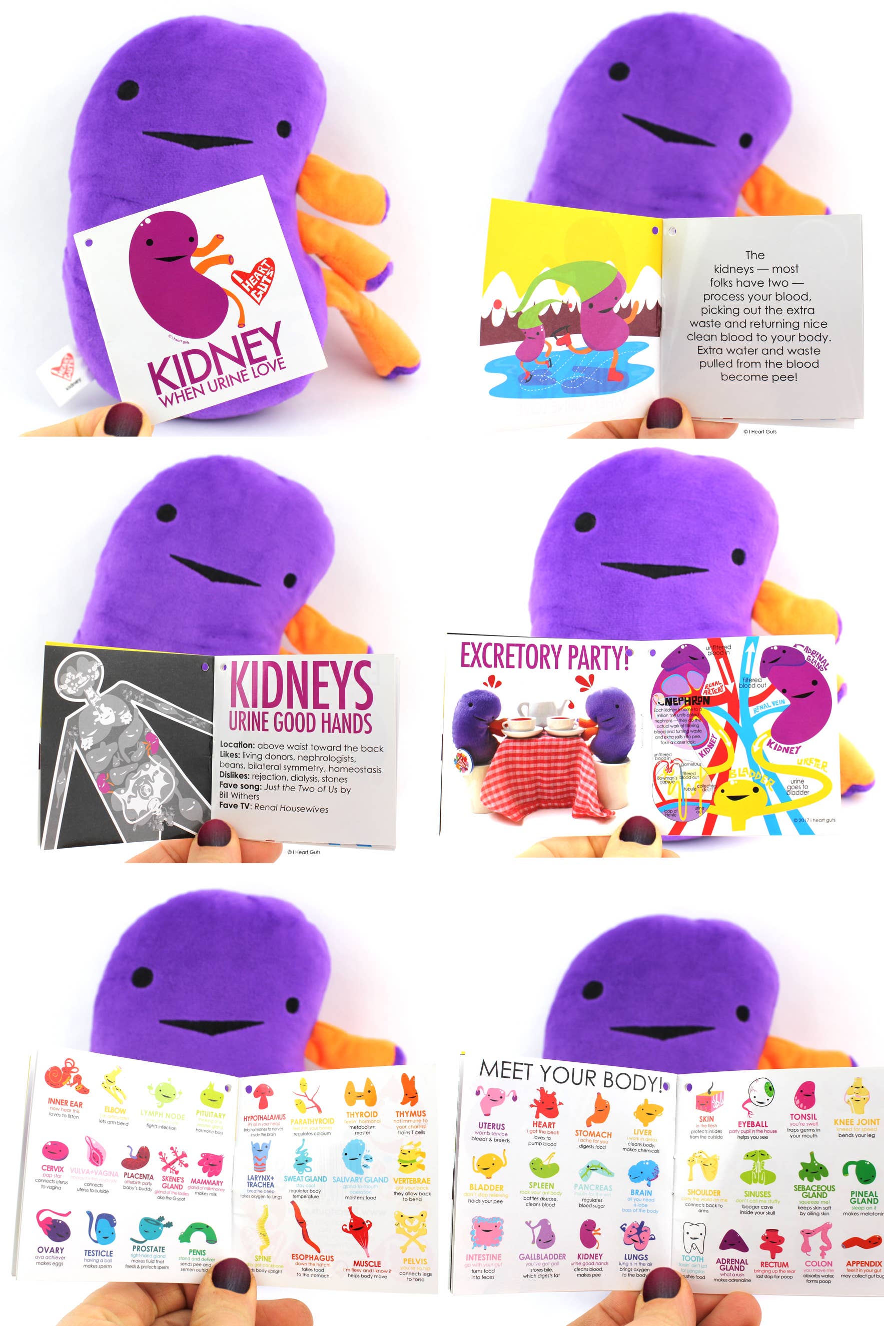 I Heart Guts | Organ Plushies Wholesale - Wholesale Stuffed/Plush Toy - Kids & Baby - Kidney Plush - When Urine Love8