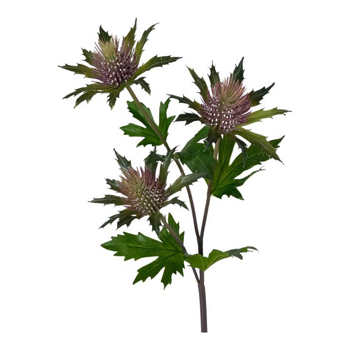 Thistle x 3, 58 cm purple-green for wholesale by Floratexx