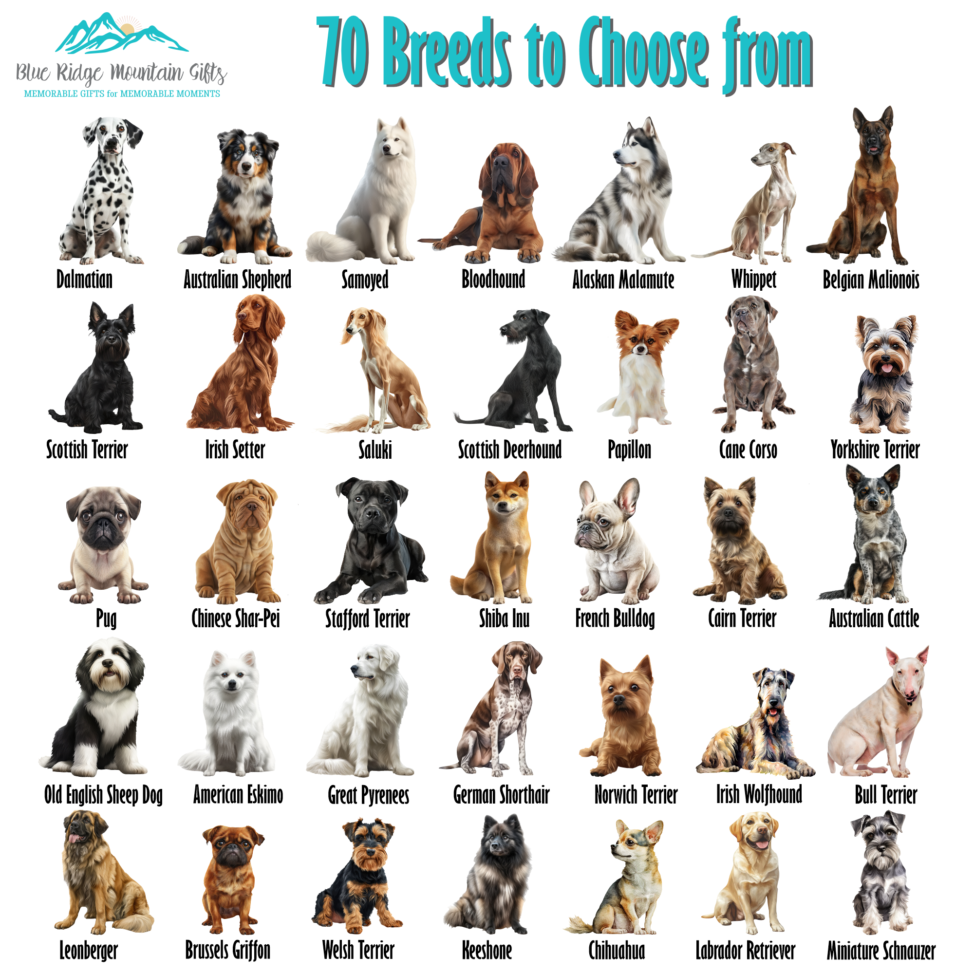 Blue Ridge Mountain Gifts - Wholesale Coasters - Bull Terrier Ceramic Coaster – 70 Breeds Available2