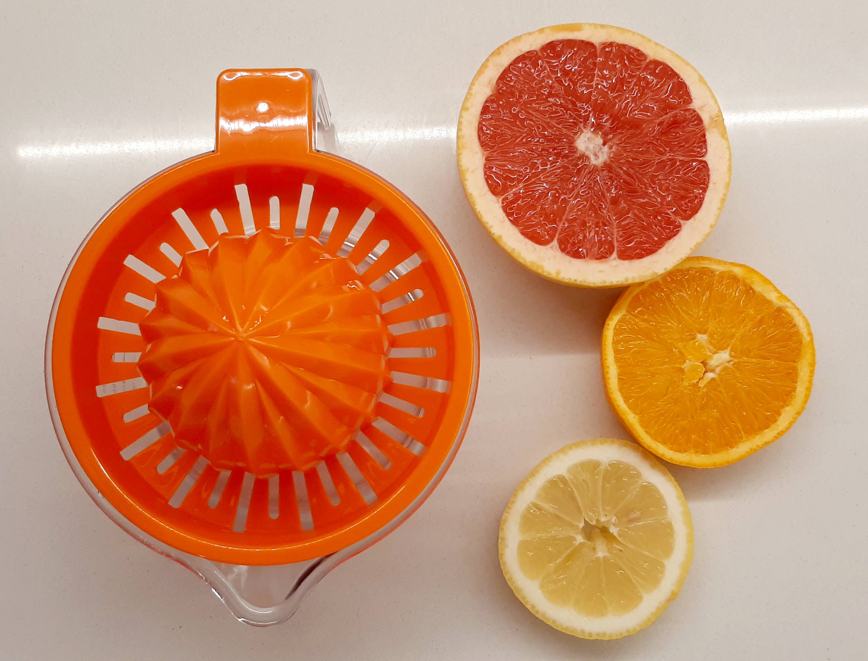 Rigamonti Pietro & Figli srl - Wholesale Juicer - Art. 98 DOUBLE citrus squeezer - mixed ORANGE and RED8