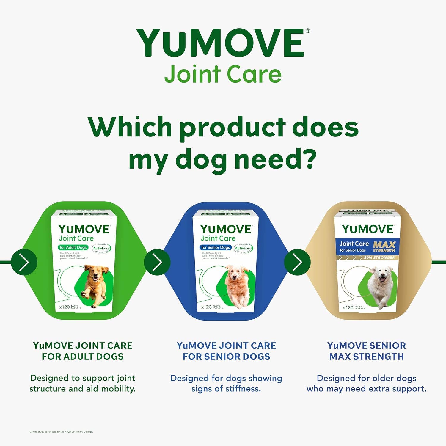 Pet Vital Care - Wholesale Pet Supplement - Dog - YuMOVE Senior Dog Joint Supplement 240 tablets7