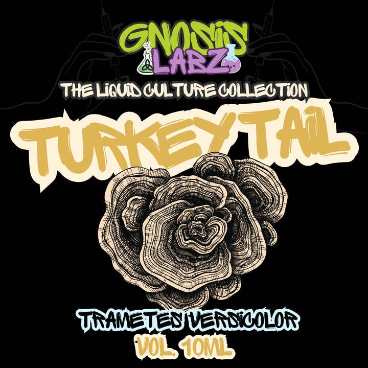 Turkey Tail (Trametes Versicolor) Liquid Culture Syringe (available in 10ml) + 18g Sterile Needle (Order Includes Bonus Gift)! for wholesale by Gnosis Labz