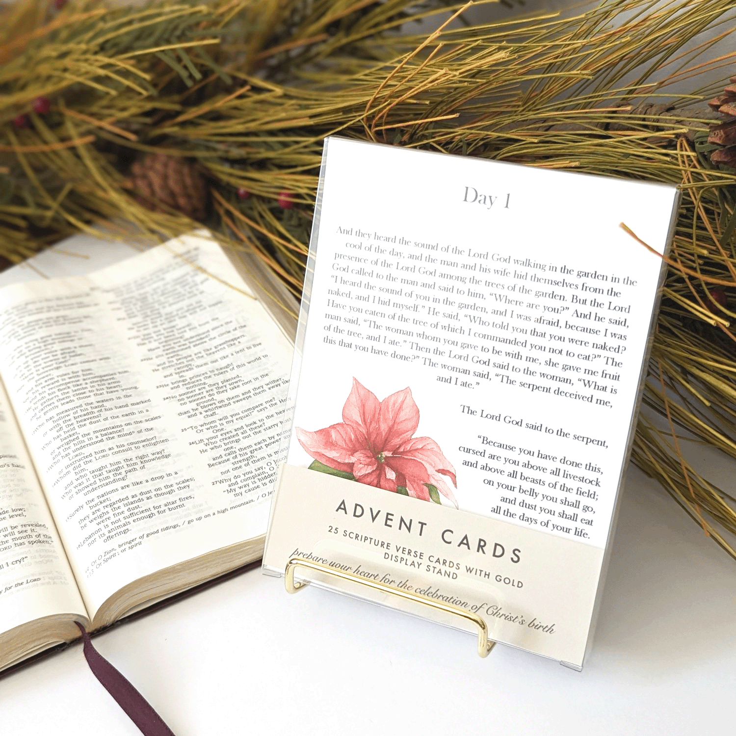 Grace Notes Ltd. - Christian Art and Gifts - Wholesale Religion Book - Advent Cards2