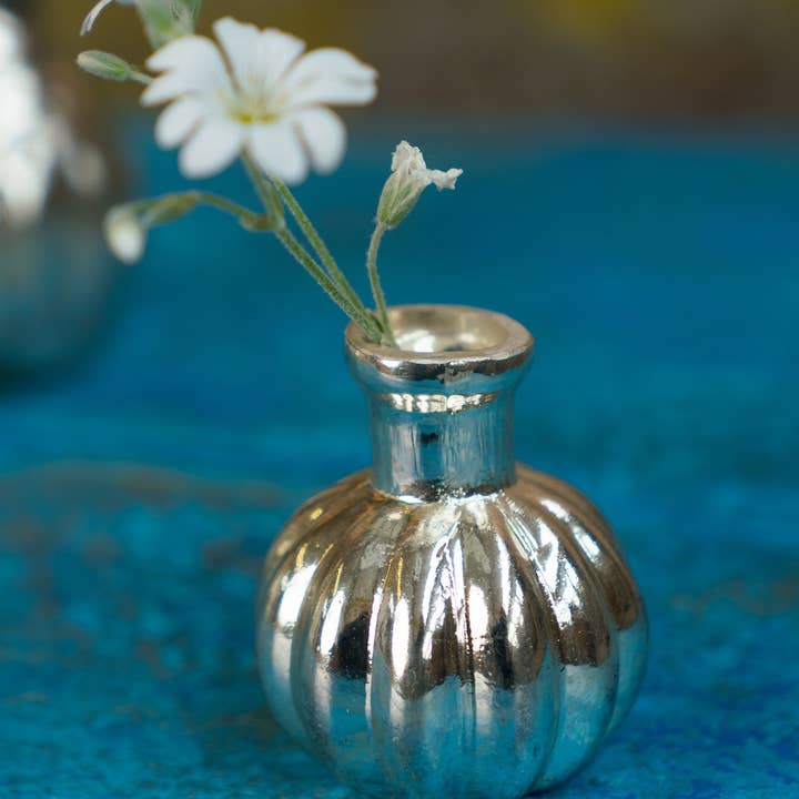 Namaste - Wholesale Vase - Pumpkin Shape Silver Glass Vase0