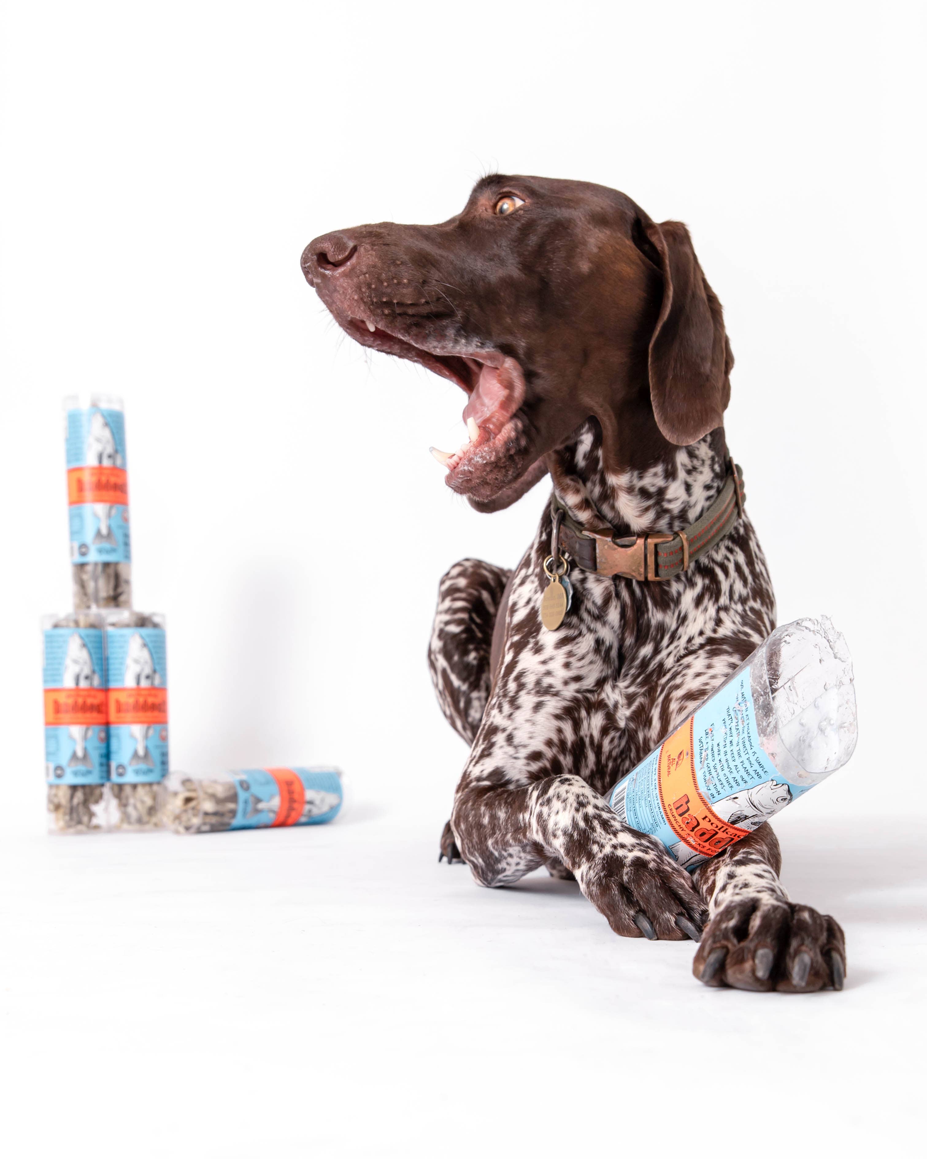 Polkadog - Wholesale Pet Treats - Dog - Haddock Skin Jerky - 2oz Tube - Dog Treats4