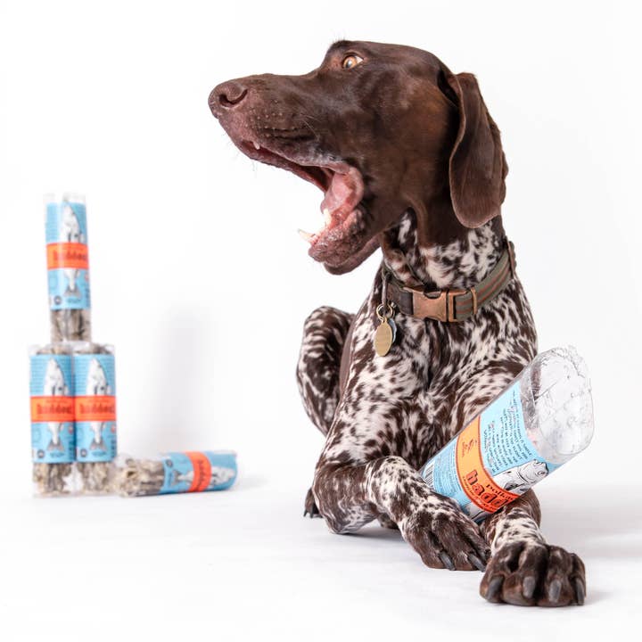 Polkadog - Wholesale Pet Treats - Dog - Haddock Skin Jerky - 2oz Tube - Dog Treats4