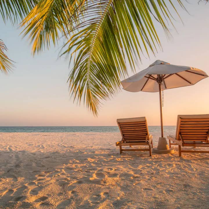 Moodcast Fragrance Co. - Wholesale Diffuser Fragrance Refill - Moodcast x Pura Smart Diffuser Refill - Beach Vacay - .33 oz1