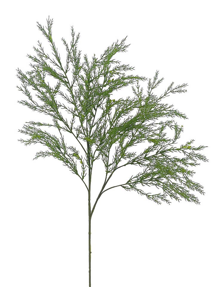 Grön plastkvist (asparagusranka), 105 cm (55 cm) för wholesale av Aguilar Málaga