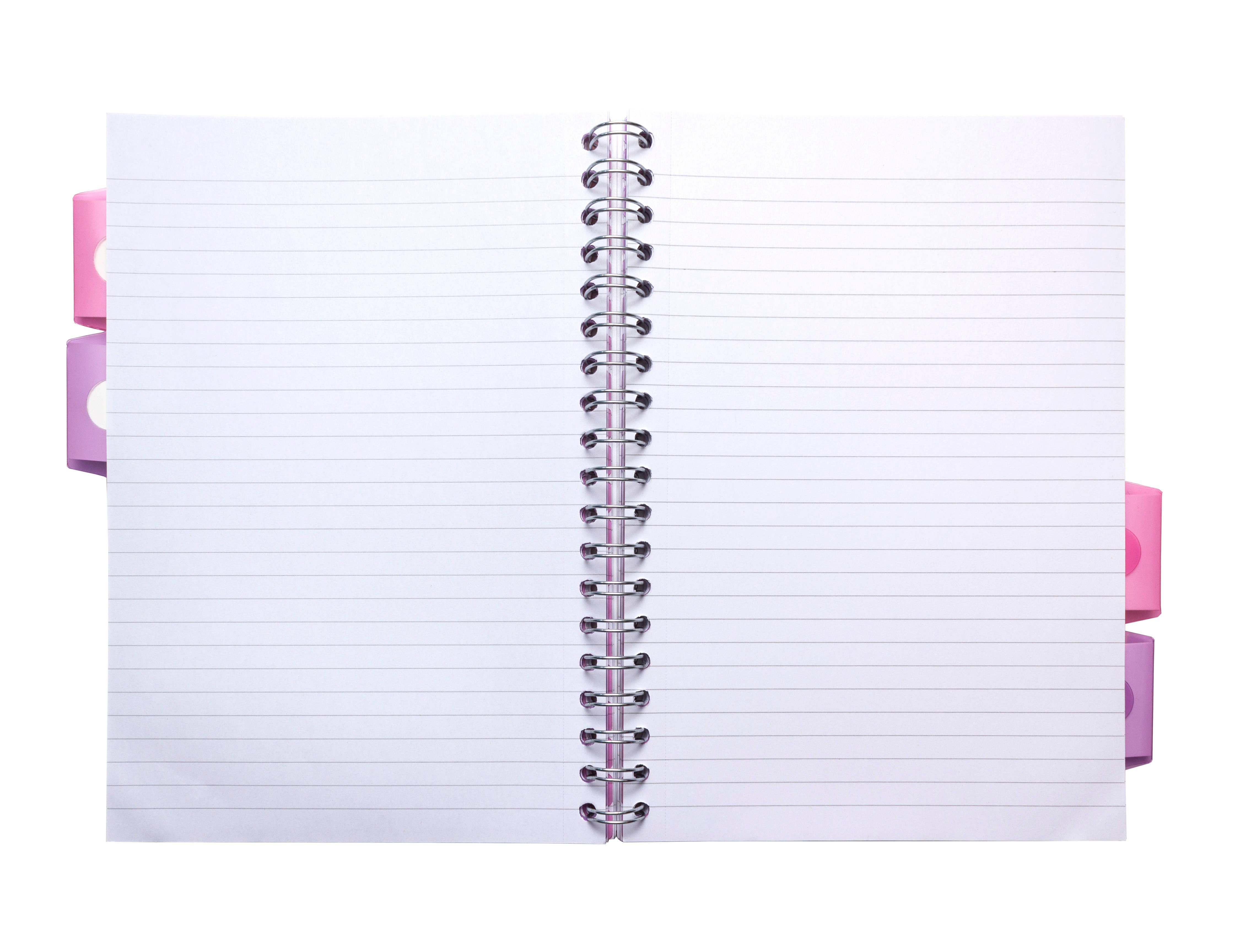 Pukka Pads North America - Wholesale Notebook - Pastel B5 Project Book - assorted 3-pack6