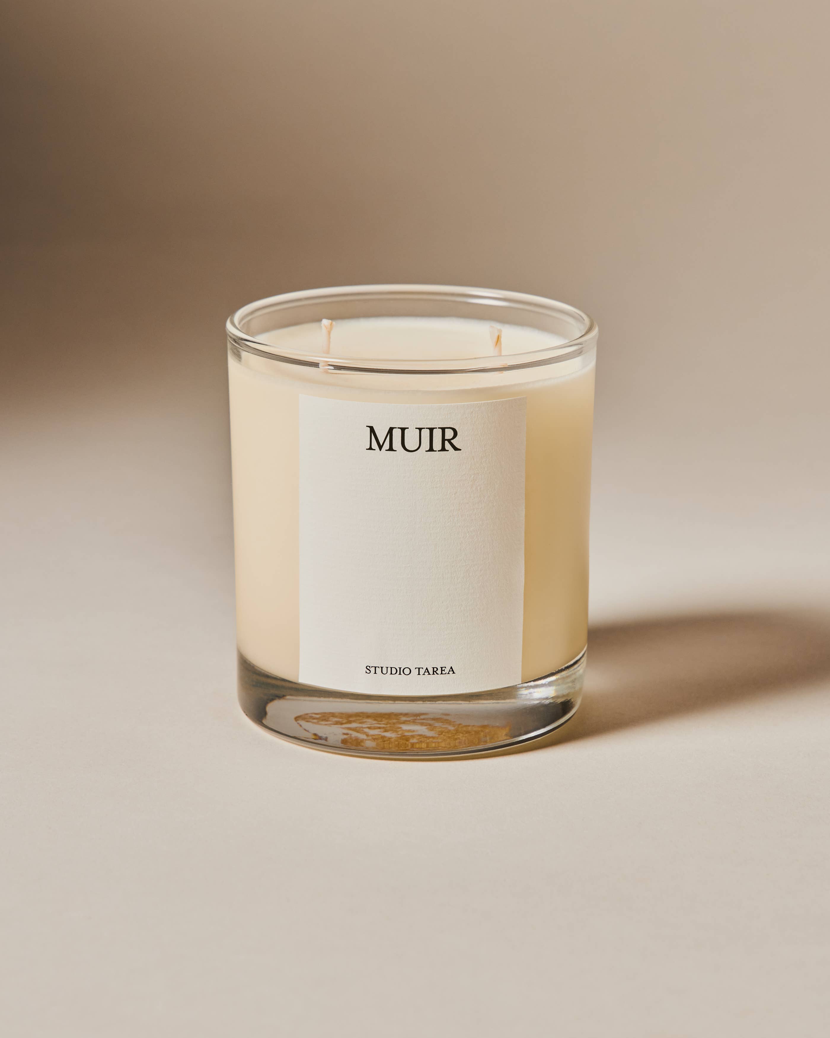 Studio Tarea - Wholesale Jar/Filled Candle - Muir – Fresh, Woodsy Candle Inspired by Muir Woods2