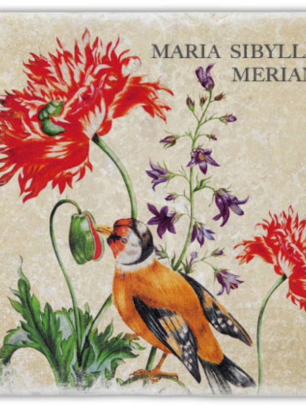 Sottobicchiere in marmo Merian per la vendita all'ingrosso da parte di Gespänsterwald