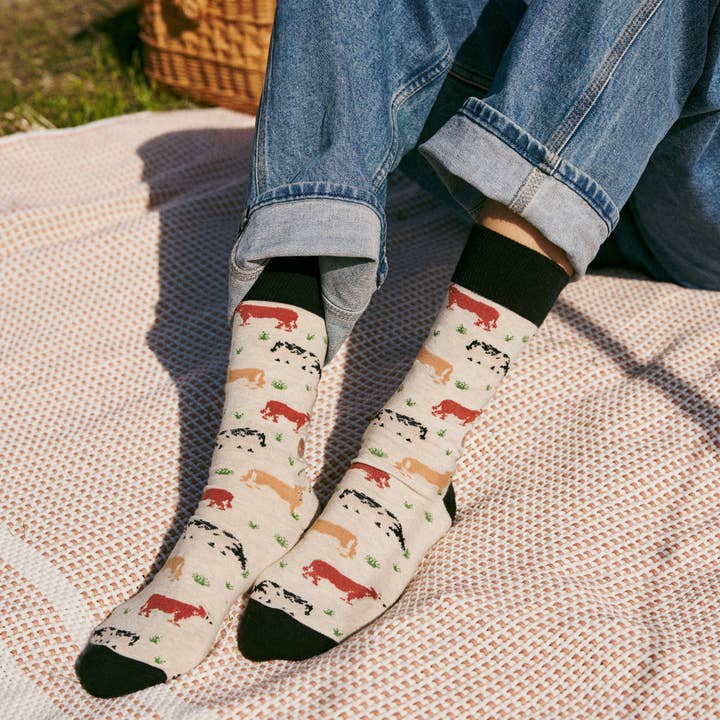 Conscious Step - Wholesale Socks - Unisex - Socks that Save Cows