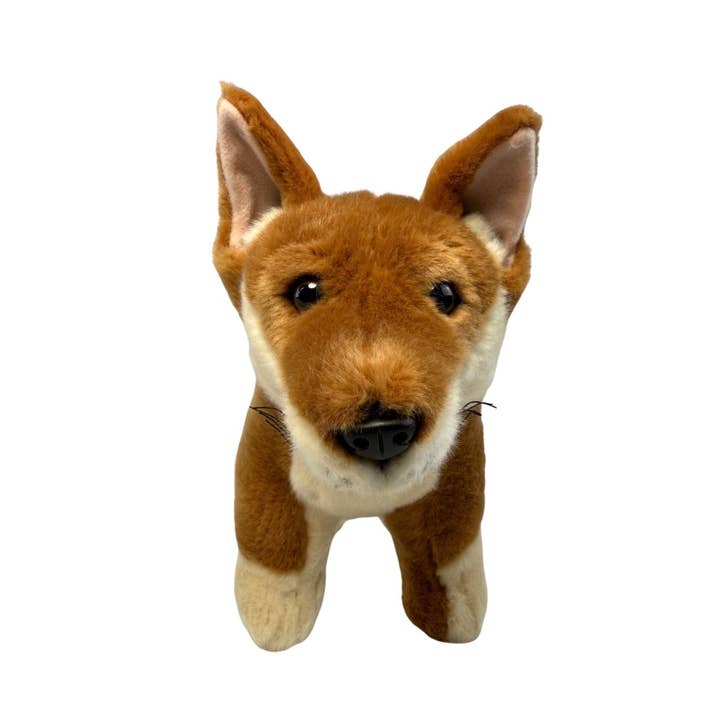 Frazer - Dingo - 25 cm in piedi per la vendita all'ingrosso da parte di Bocchetta Plush Toys