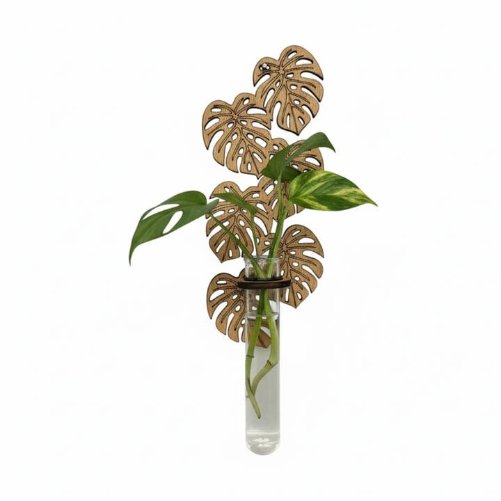 Voortplantingsvaas, Houten Monstera Wandhanger Voortplanting voor wholesale door The Savvy Spade