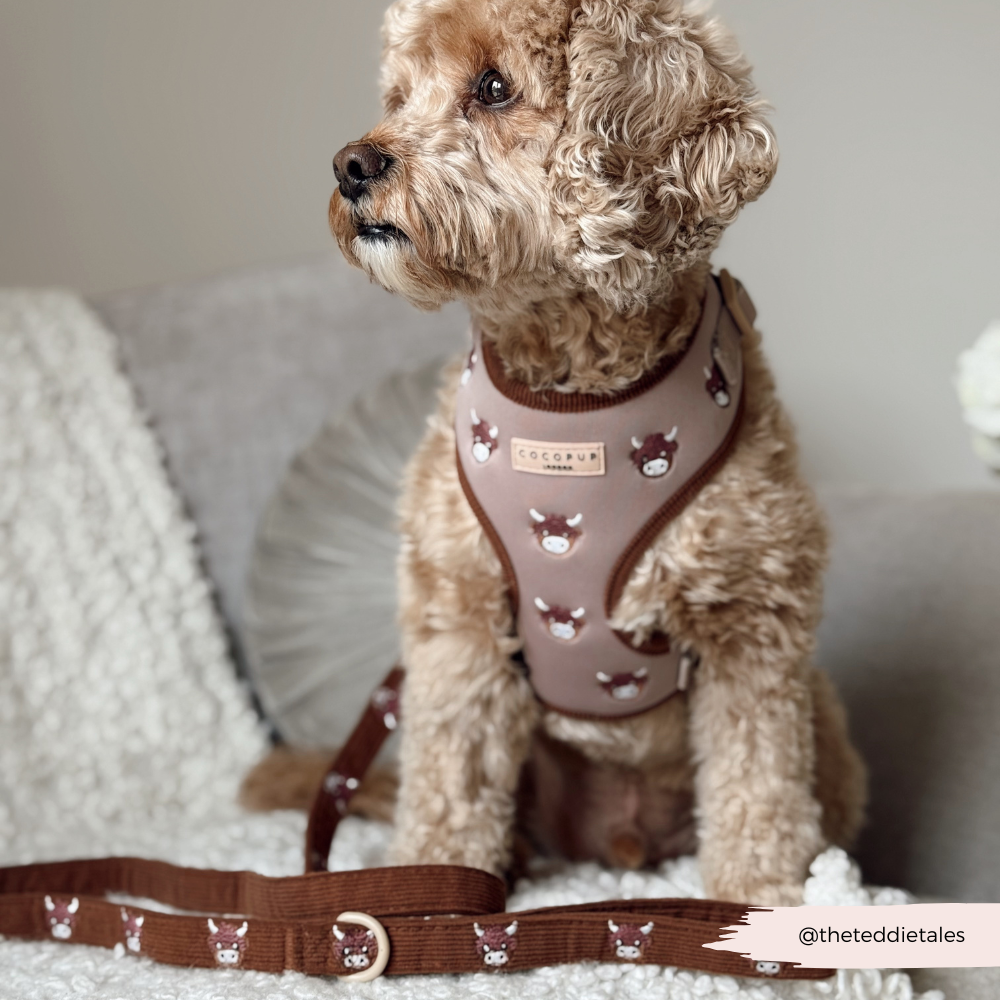 Cocopup London - Wholesale Pet Harness - Dog - Harold the Highland Cow Adjustable Neck HARNESS30