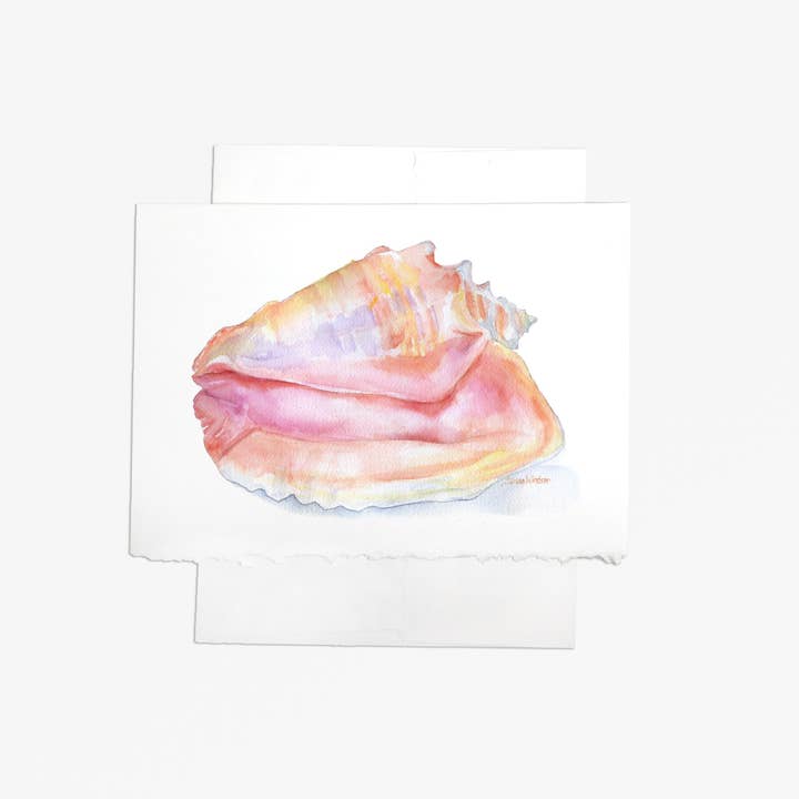 Conch Seashell Watercolor Greeting Card for wholesale by Susan Windsor