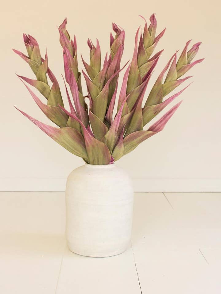 BOTANICA #2807 for wholesale by Kalalou