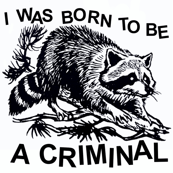 Wicked Clothes – Großhandel T-Shirt mit Siebdruck – Unisex – 'Born Criminal' Trikot0