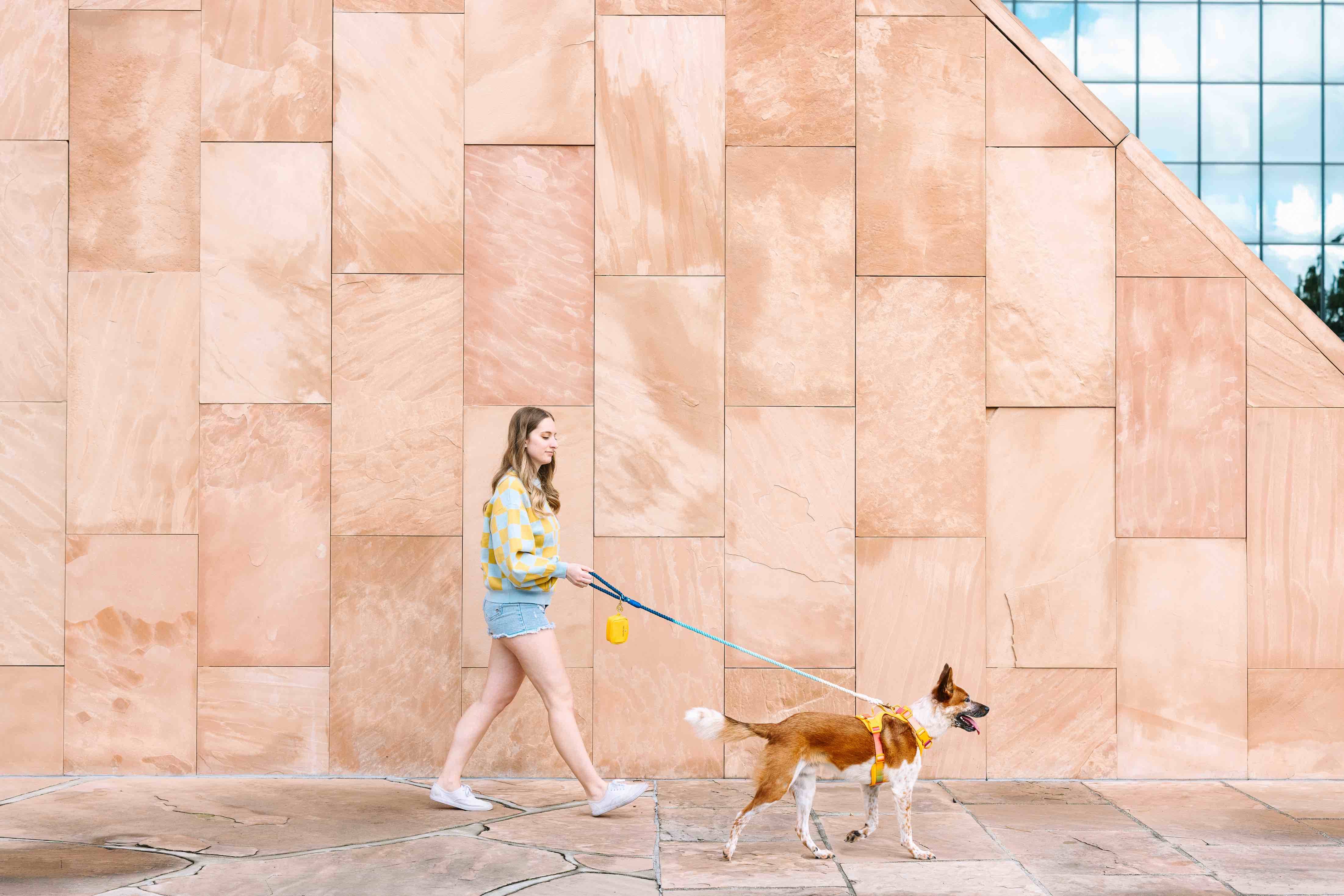 Pink Papyrus | Premium, Durable, & Stylish Dog Products - Wholesale Pet Harness - Dog - Kenna Dog Harness | Yellow Dog Harness | No Pull Dog Harness8