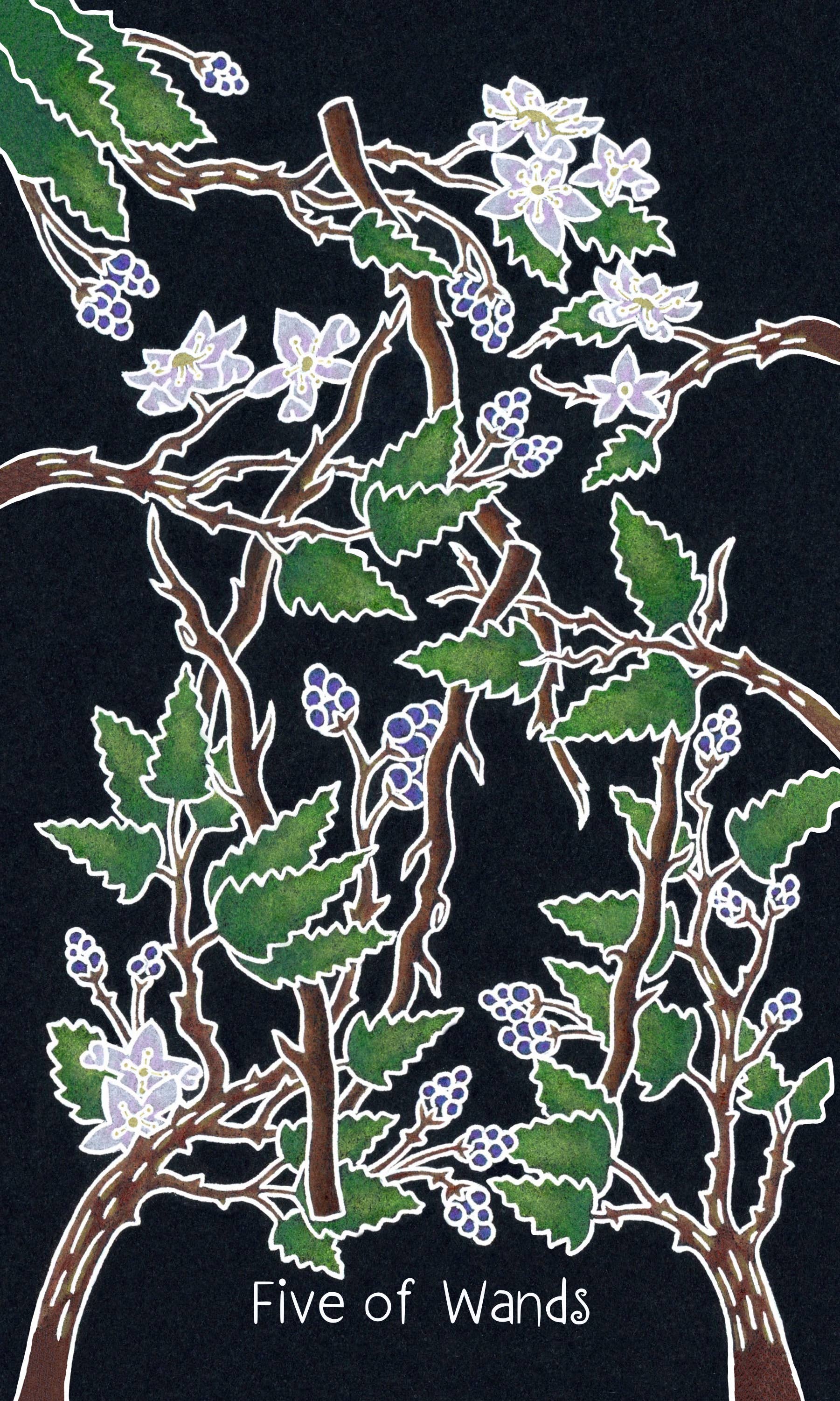 Schiffer Publishing - Wholesale Tarot Cards - The Animystic Tarot6