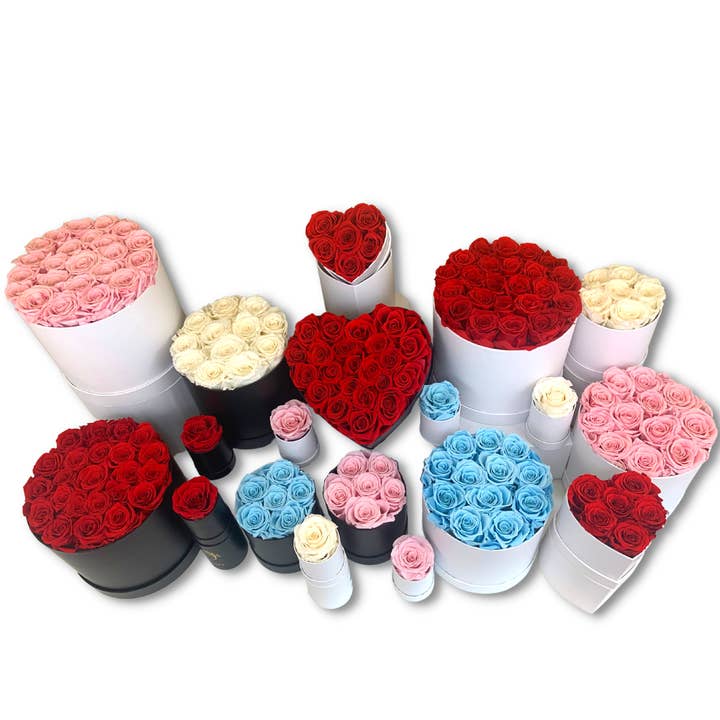 Real Preserved Roses that Last Forever  for wholesale by verona home and gift