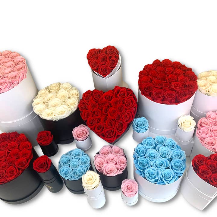 Real Preserved Roses that Last Forever for wholesale by verona home and gift